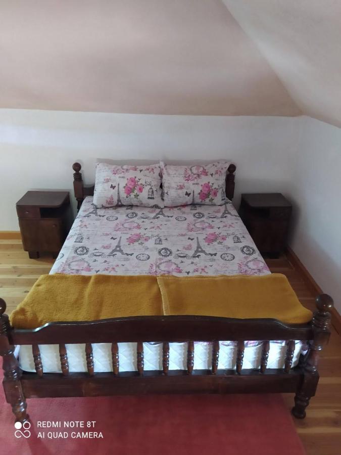 Vikendica Matic Villa กอซ ภายนอก รูปภาพ
